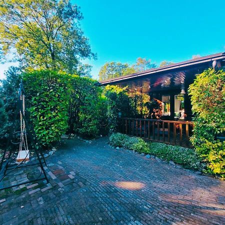 "De Jungle" Chalet Met Veranda Op Ijsselheide Hattemerbroek Veluwe Exterior photo